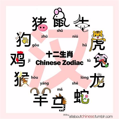 12生肖牌|The Chinese Zodiac in Mandarin 十二生肖知多少